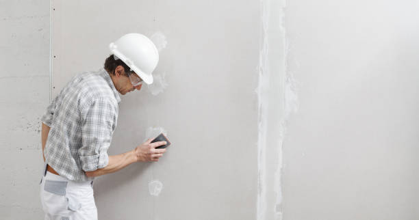 Best Crawl Space Mold Remediation  in Carrollton, AL
