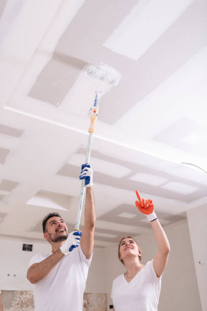 Best Mold Removal for HVAC Installations  in Carrollton, AL