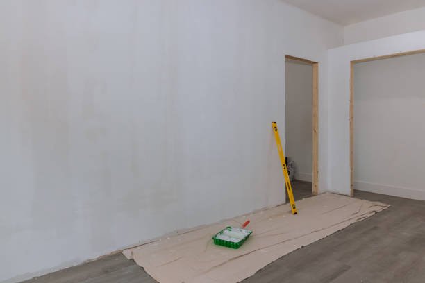 Best Residential Mold Inspection & Testing  in Carrollton, AL